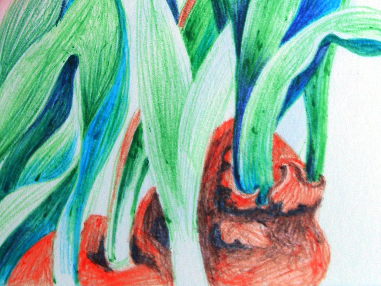 Aquarellmalerei für Anfängerinnen Aquarelllandschaft mit farbenfrohen Feldern und einem weiten Himmel.